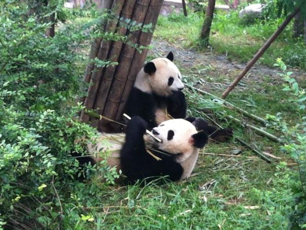 China tour on a shoestring