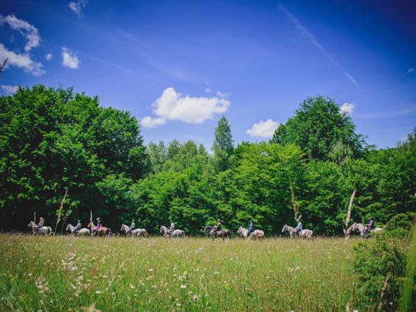 Horse riding holidays in Transylvania