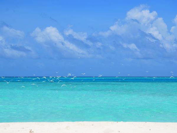 Maldives tour, culture and people