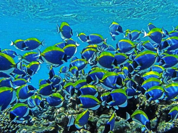 Maldives tour, culture and people