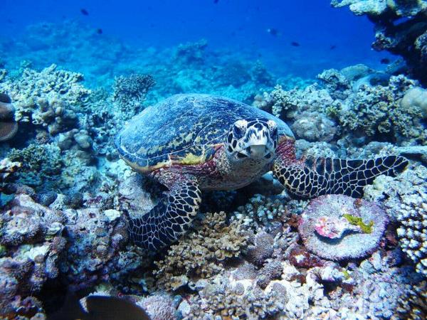 Maldives tour, culture and people
