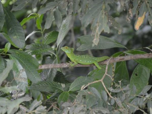 Costa Rica & Nicaragua holiday, tailor made