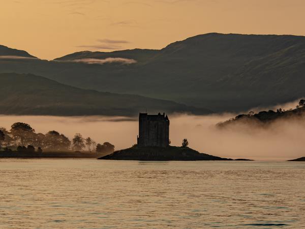 Inner Hebrides wildlife cruise