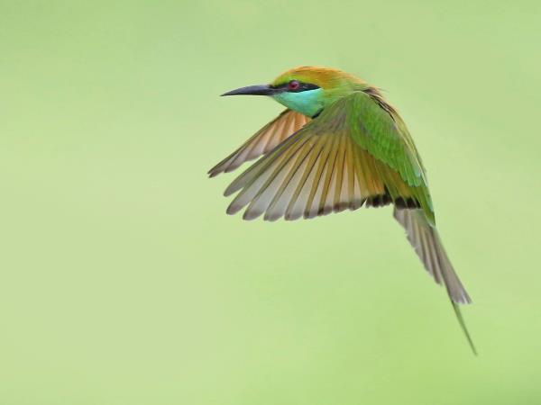 Wildlife photography tour in Sri Lanka