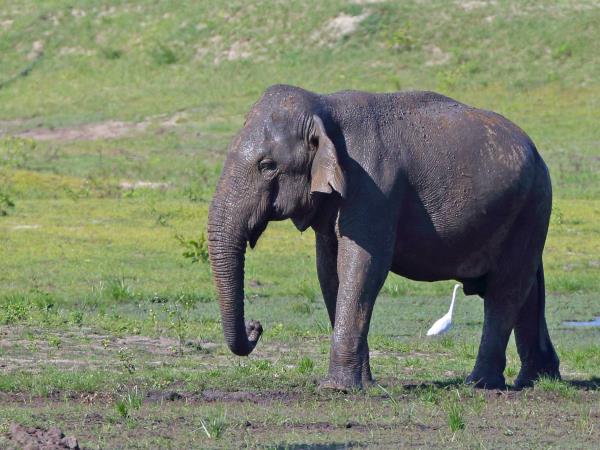 Wildlife photography tour in Sri Lanka