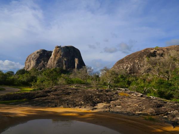 Wildlife photography tour in Sri Lanka