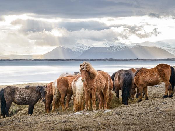 Iceland Highlands photography tour, waterfalls & canyons