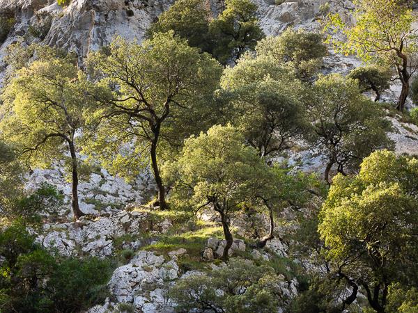 Photography holiday in Picos de Europa, Spain