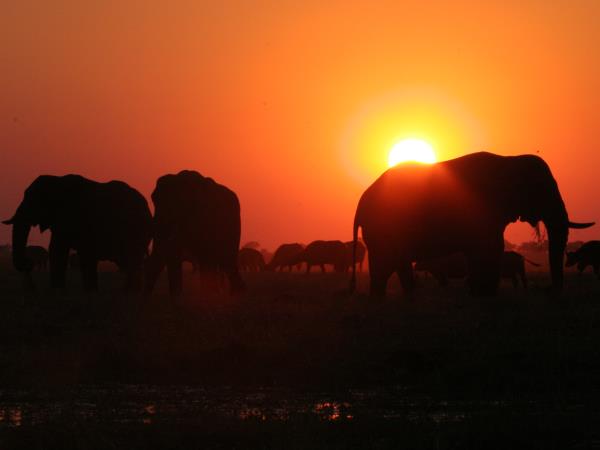 Cairo to Cape Town overland tour