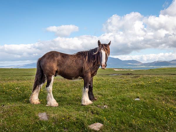 Ireland photography tour, Cork, Kerry & the Wild Atlantic Way