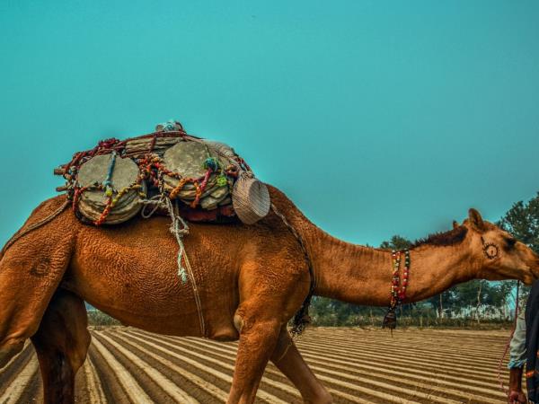 Southern Pakistan women only tour