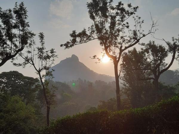 South India community volunteering holiday