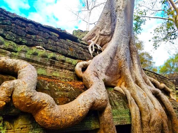 Vietnam & Cambodia 15 day small group tour