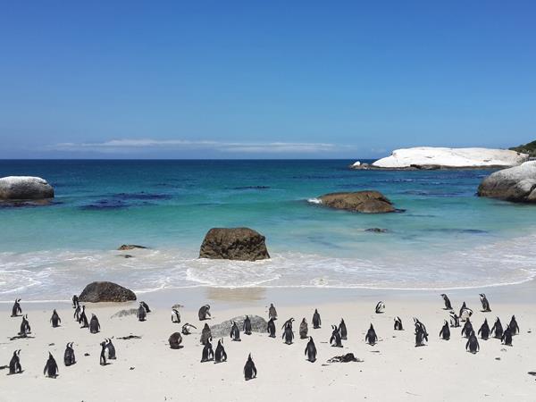 South Africa walking adventure, tailor made