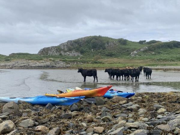 Scotland sea kayaking holiday, 8 days