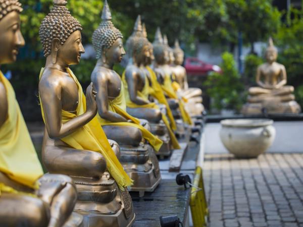 Sri Lanka and Maldives 14 day holiday