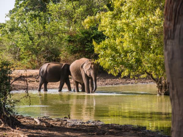 Sri Lanka and Maldives 14 day holiday