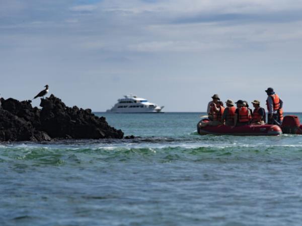 Galapagos eco cruising holiday