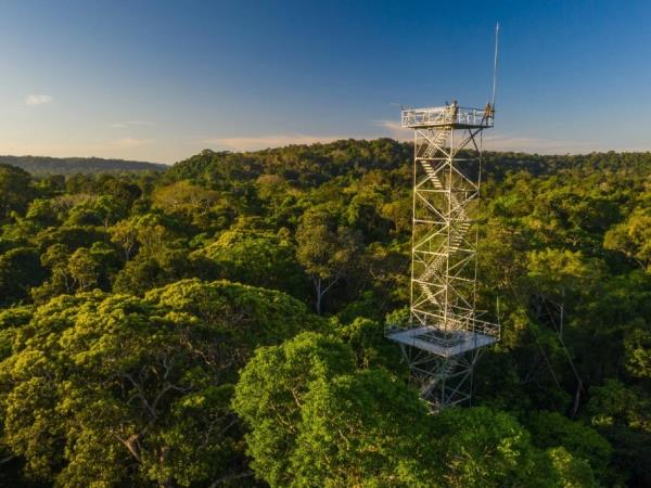 Brazil luxury wildlife and beach adventure holiday