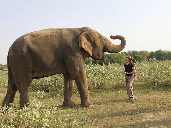 Wildlife and cultural holiday in India