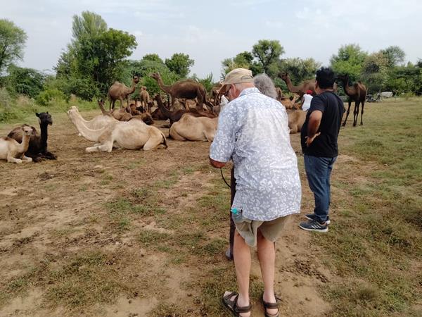 Wildlife and cultural holiday in India