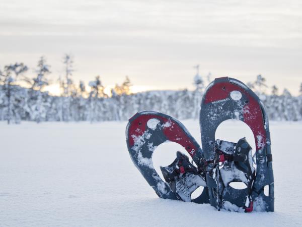 Northern Lights short break, Finnish Lapland