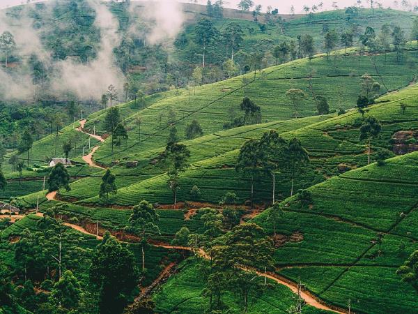 Sri Lanka and Maldives 14 day holiday