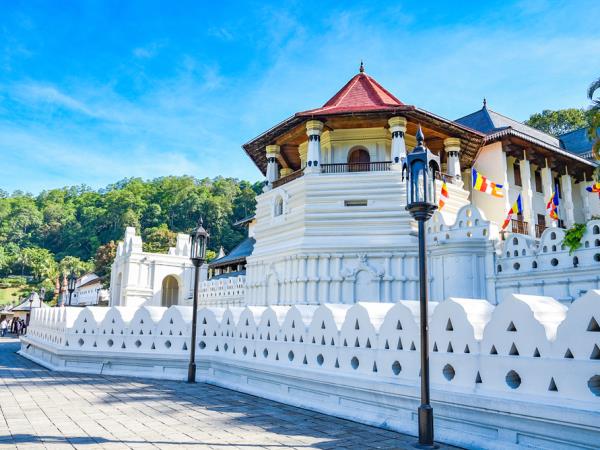 Sri Lanka culture and wildlife boutique holiday