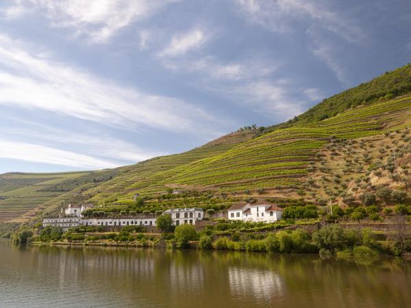 Portuguese Douro wine region walking holiday