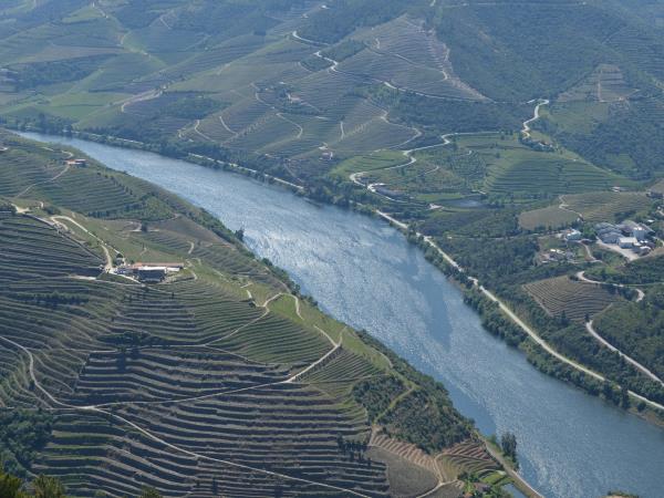 Portuguese Douro wine region walking holiday
