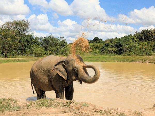14 day Thailand highlights holiday