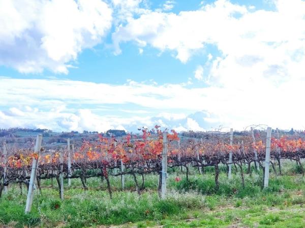 Umbria gourmet tour, Italy
