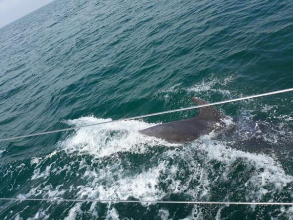 Bristol Channel to Essex sailing holiday