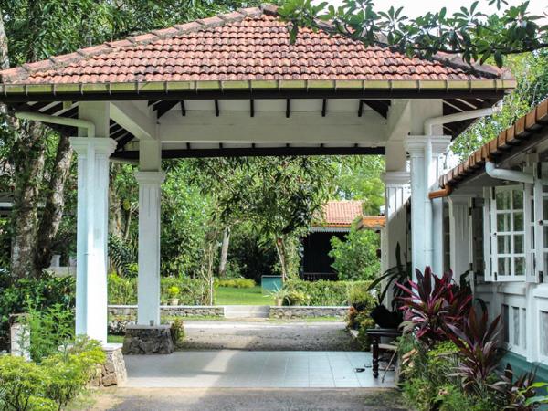 Sri Lanka detox & wellness holiday