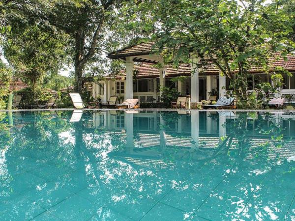 Sri Lanka detox & wellness holiday
