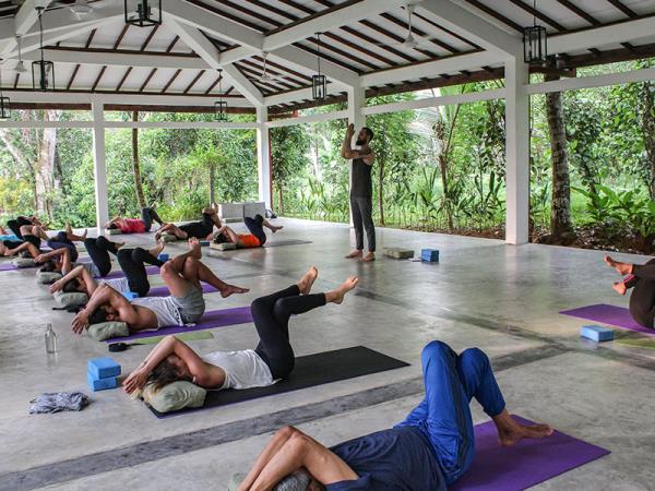 Sri Lanka detox & wellness holiday