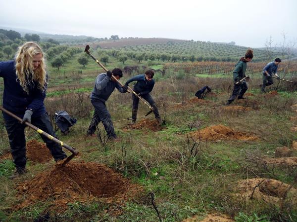Volunteer holidays in Lisbon