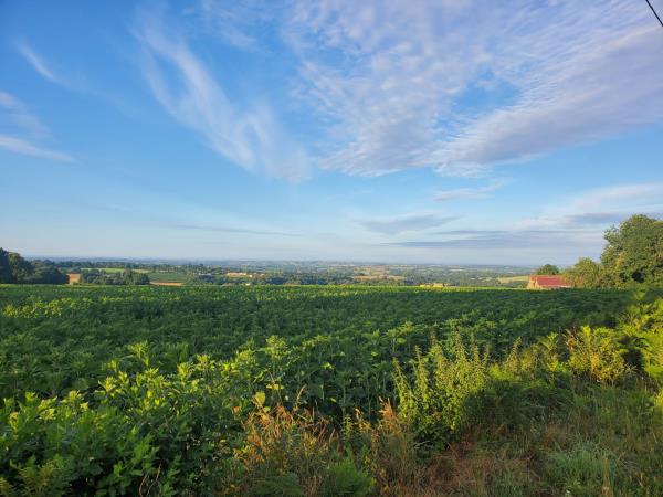 Wellness and yoga retreat in France