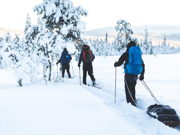 Winter ski touring in Sweden holiday