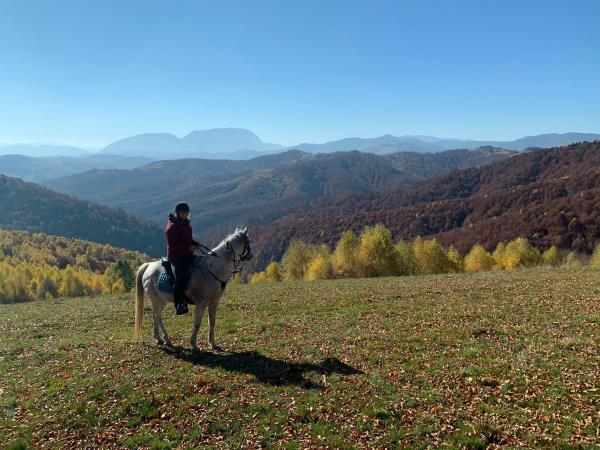Horse riding holiday in Romania
