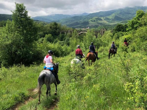 Horse riding holiday in Romania