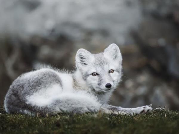 Spitsbergen Autumn photography tour, 12 guests