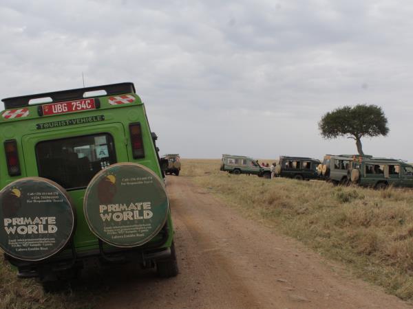 Uganda culture, traditions & wildlife holiday