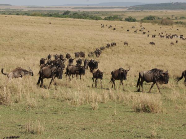 Uganda culture, traditions & wildlife holiday