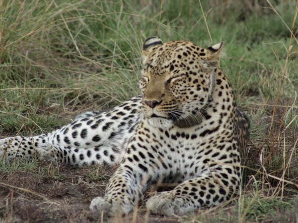 Uganda wildlife holiday