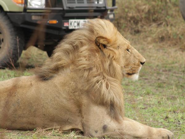 Uganda wildlife holiday