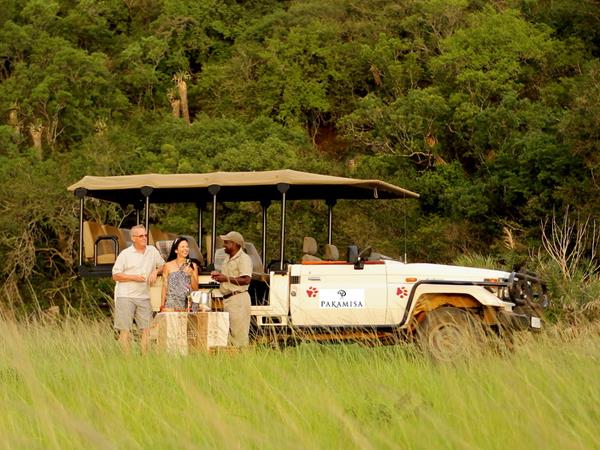 Horseback safari, South Africa