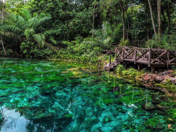 Brazil wildlife holiday, waterfalls and beaches