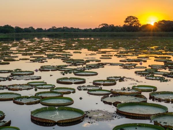 Brazil wildlife holiday, waterfalls and beaches