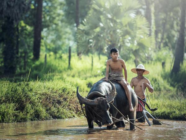 Vietnam by train and boat tour 